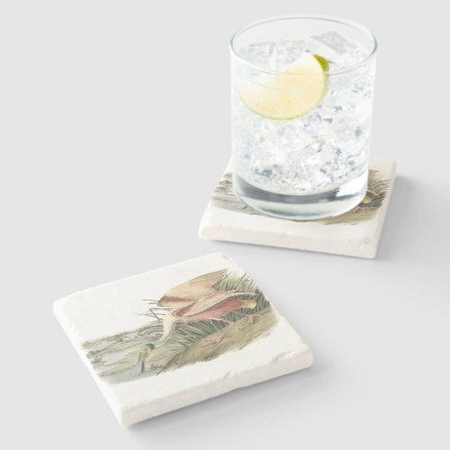 Roseate Spoonbill by Audubon Stone Coaster