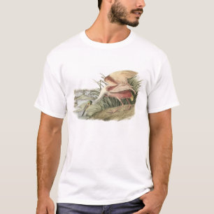 Roseate Spoonbill by Audubon T-Shirt
