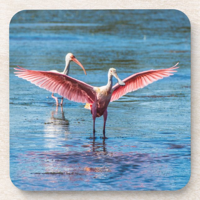 Roseate Spoonbill coasters w/cork back - set of 6 (Front)