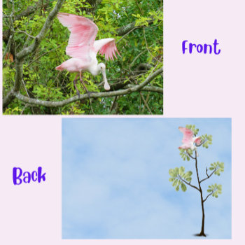 Roseate Spoonbill Flat Card by CatsEyeViewGifts at Zazzle