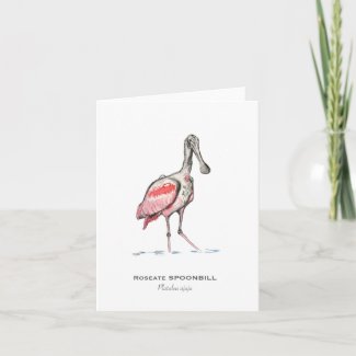 Roseate Spoonbill Folded Note Card