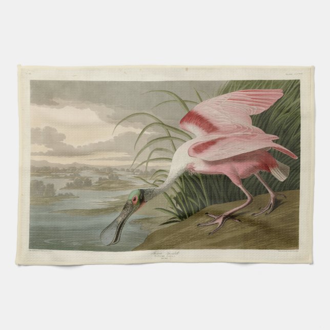 Roseate Spoonbill from Audubon's Birds of America Kitchen Towel (Horizontal)