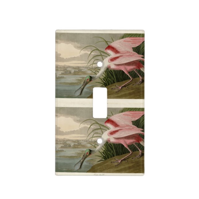 Roseate Spoonbill from Audubon's Birds of America Light Switch Cover (Front)