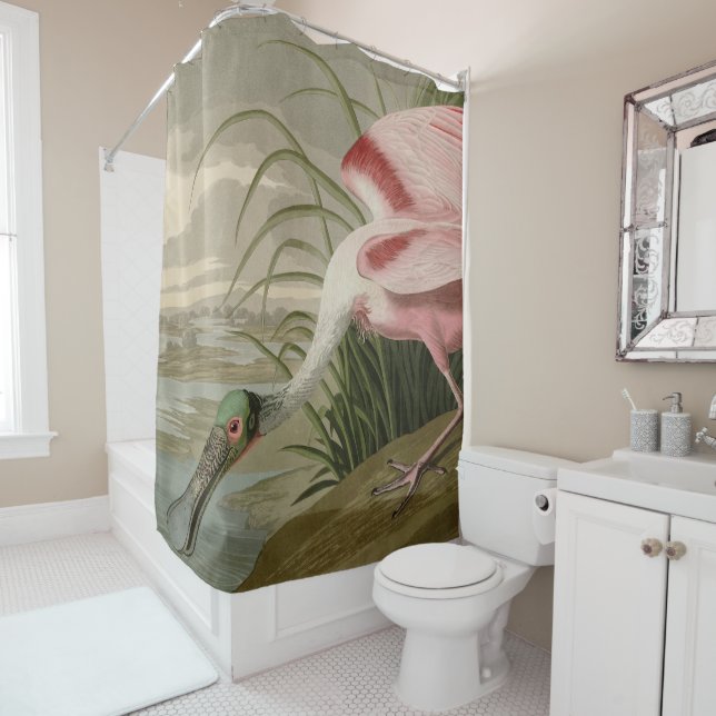 Roseate Spoonbill from Audubon's Birds of America Shower Curtain (In Situ)