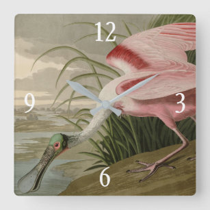 Roseate Spoonbill from Audubon's Birds of America Square Wall Clock