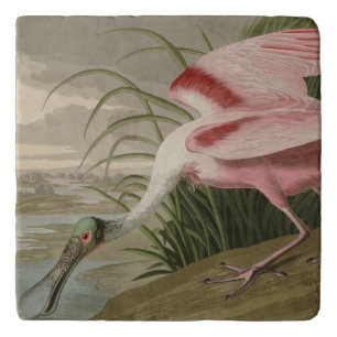 Roseate Spoonbill from Audubon's Birds of America Trivet
