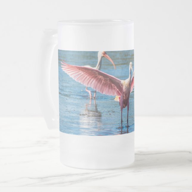 Roseate Spoonbill Frosted 16 oz Frosted Glass Mug (Front Left)