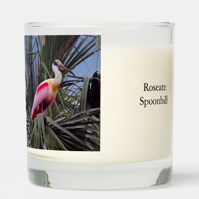 Roseate Spoonbill glass candle (Front)