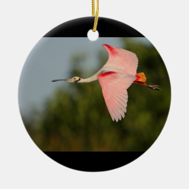 Roseate Spoonbill in Flight Ceramic Ornament (Front)