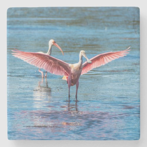 Roseate Spoonbill Marble Stone Coaster