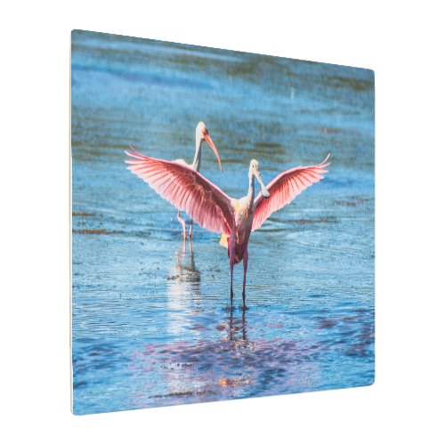 Roseate Spoonbill Metal Wall Art 36 x 24