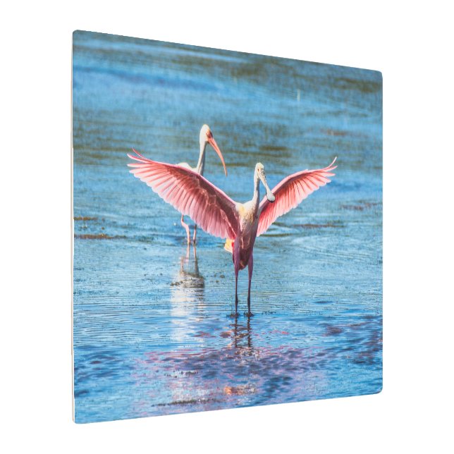 Roseate Spoonbill Metal Wall Art 36 x 24 (Angled)