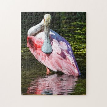 Roseate Spoonbill Puzzle by PhotosfromFlorida at Zazzle