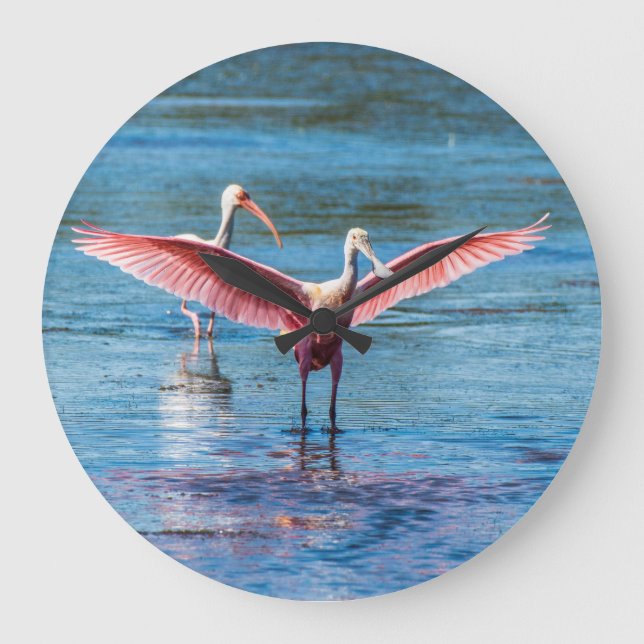 Roseate Spoonbill Round (Large) Wall Clock (Front)