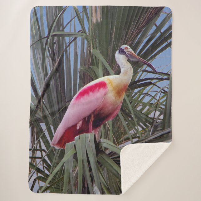 Roseate Spoonbill sherpa blanket (Front)