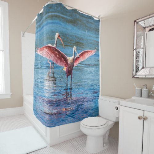 Roseate Spoonbill Shower Curtain