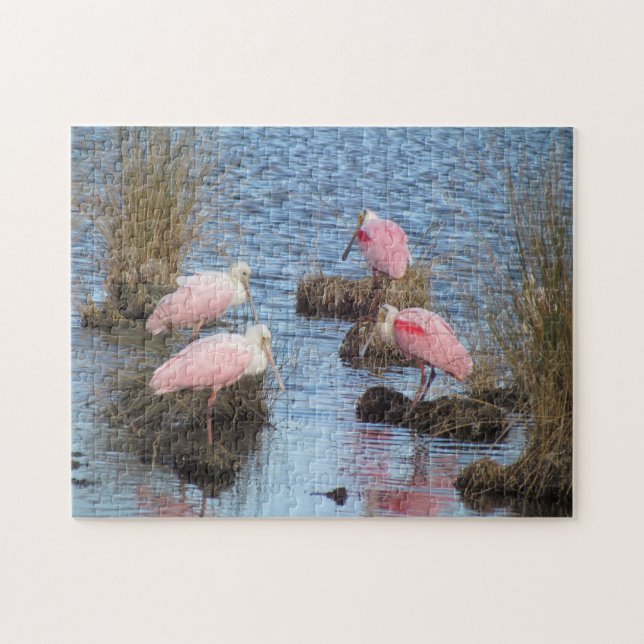 Roseate Spoonbill Spoonbills Pink Water Bird Jigsaw Puzzle (Horizontal)