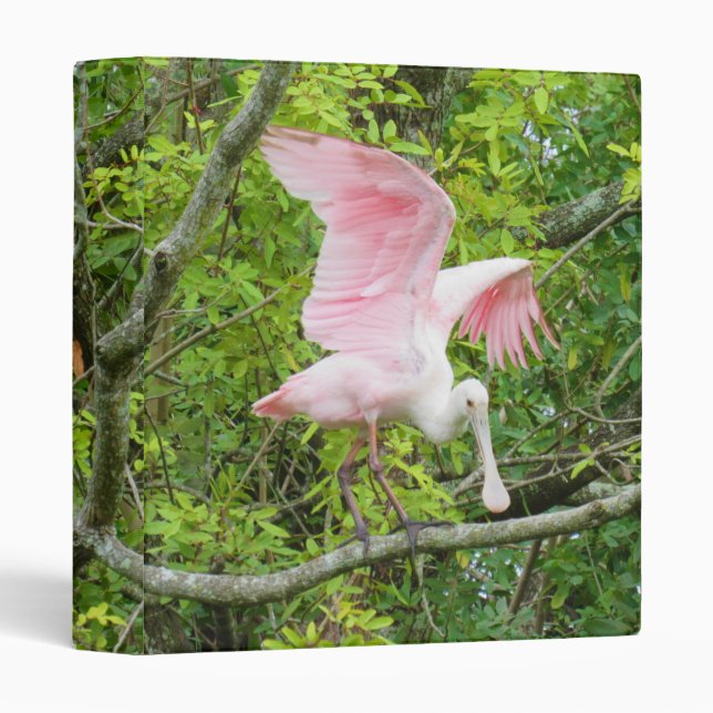 Roseate Spoonbill - Wading Bird - Binder (Front/Spine)