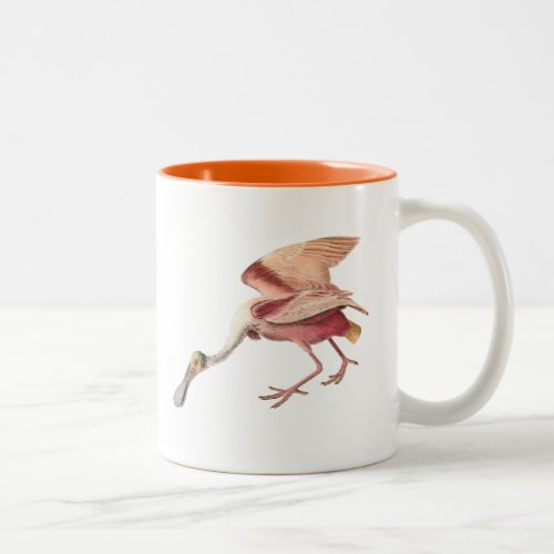 Roseate Spoonbill Wading Bird Illustration Art Two_Tone Coffee Mug