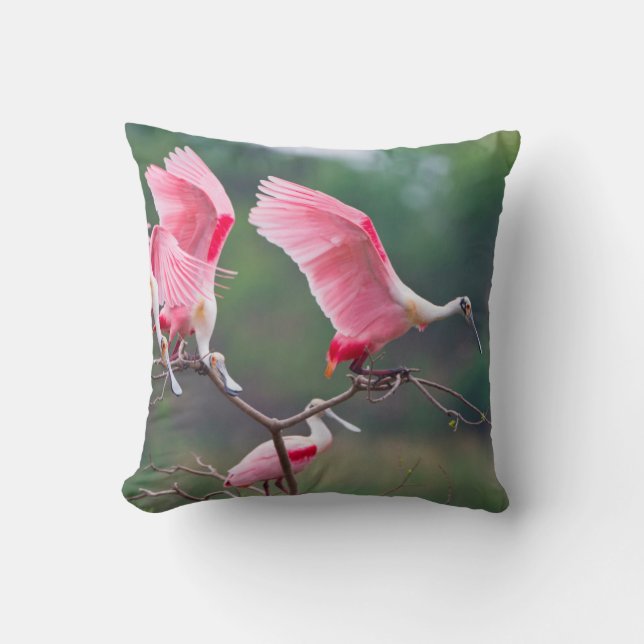 Roseate Spoonbills (Ajaia Ajaja) Landing Throw Pillow (Front)