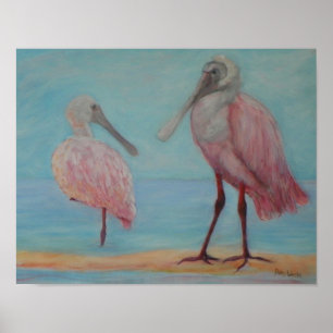 ROSEATE SPOONBILLS IN FLORIDA Poster