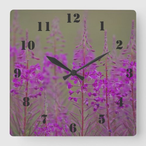 Rosebay Willowherb Clock