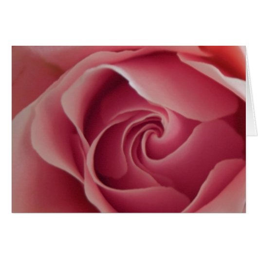 Rosebud Cards (Front Horizontal)
