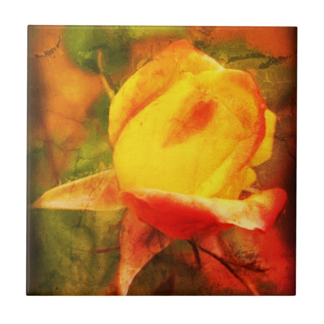 Rosebud Floral Art Photo Painting Distressed  Ceramic Tile (Front)