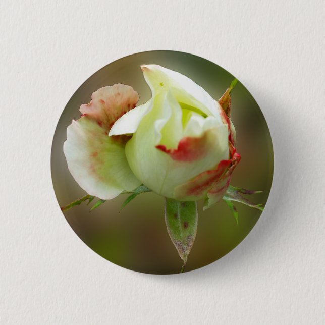 rosebud glowing button (Front)