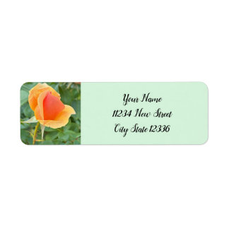 Rosebud Photo Return Address Labels 