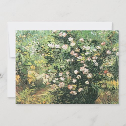 Rosebush in Blossom by Vincent van Gogh Invitation