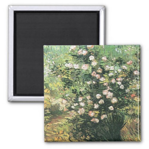 Rosebush in Blossom by Vincent van Gogh Magnet