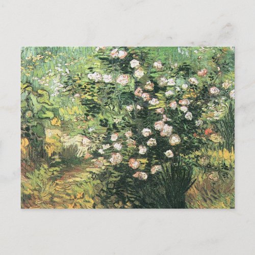 Rosebush in Blossom by Vincent van Gogh Postcard