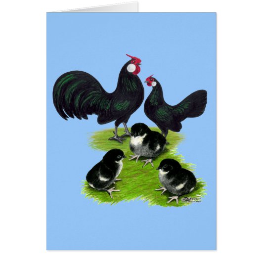 Rosecomb Black Bantam Family Cards (Front)