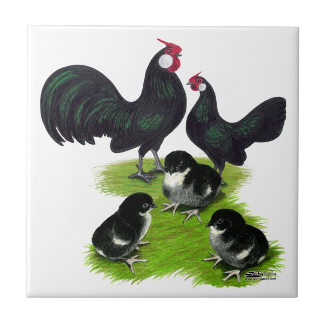 Rosecomb Black Bantam Family Tile (Front)