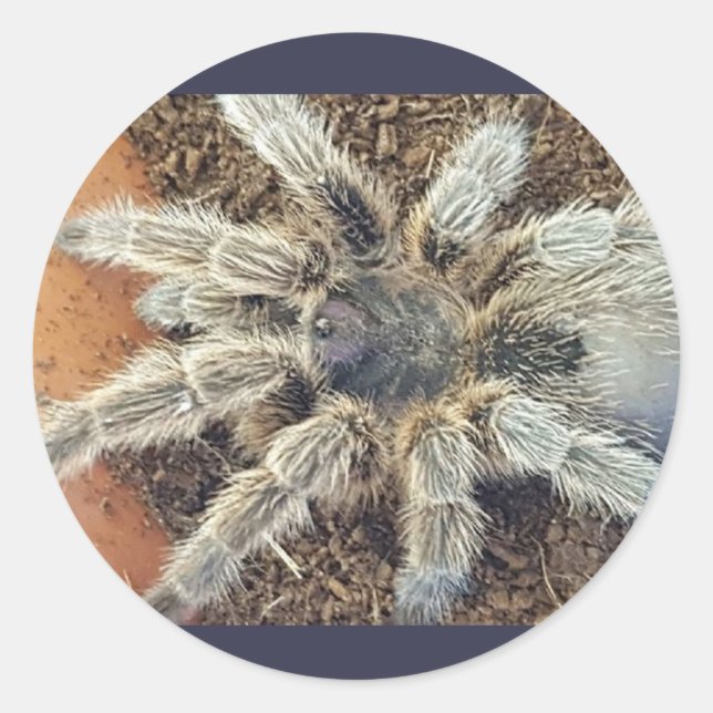 Rosehair sticker (Front)