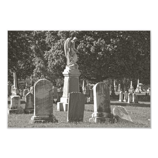 Rosehill III Photo Print (Front)