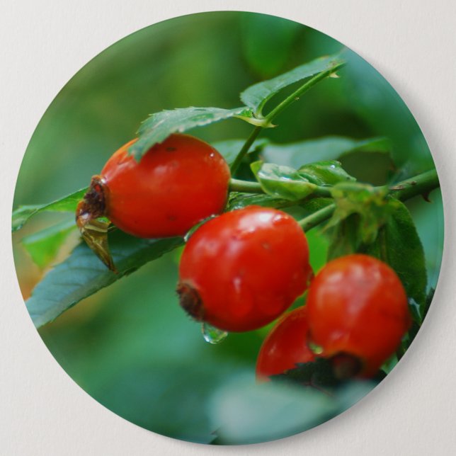 Rosehip after rain button (Front)