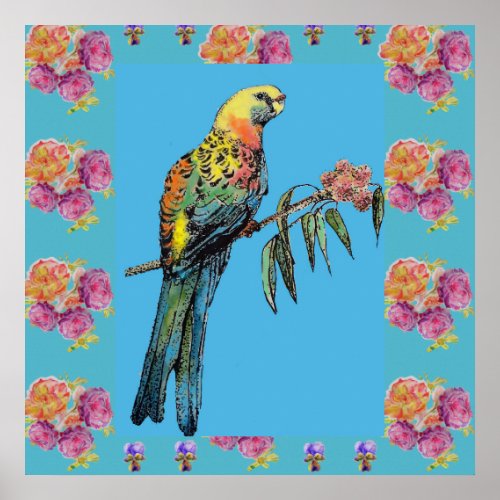 Rosella Bird Watercolor Parrot Aqua Rose Poster
