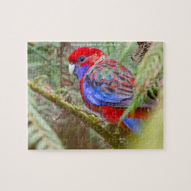 Rosella Birds of Australia Jigsaw Puzzle (Horizontal)