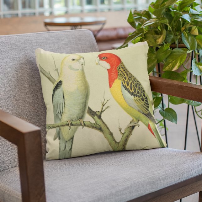 ROSELLA PARAKEETS THROW PILLOW (Creator Uploaded)
