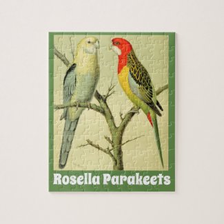 ROSELLA PARAKEETS - Vintage Birds