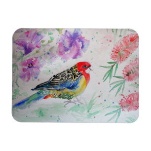Rosella Parrot with Bottlebrush Bird Birthday Magnet