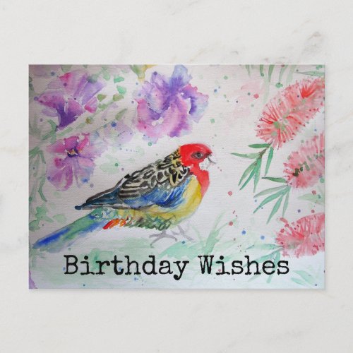 Rosella Parrot with Bottlebrush Birthday Postcard