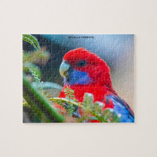 Rosella Parrots Australia Jigsaw Puzzle