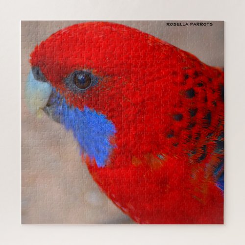 Rosella Parrots Australia Jigsaw Puzzle