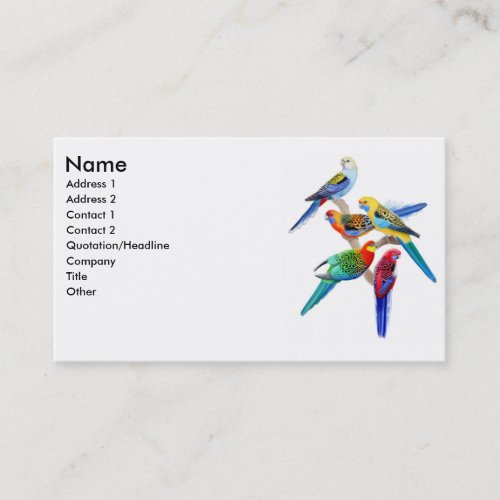 Rosella Parrots Business Card