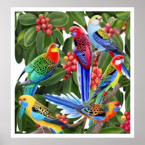 Rosella Parrots in Fig Tree Print