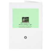 Rosemary Beach, Rosemary (Back)