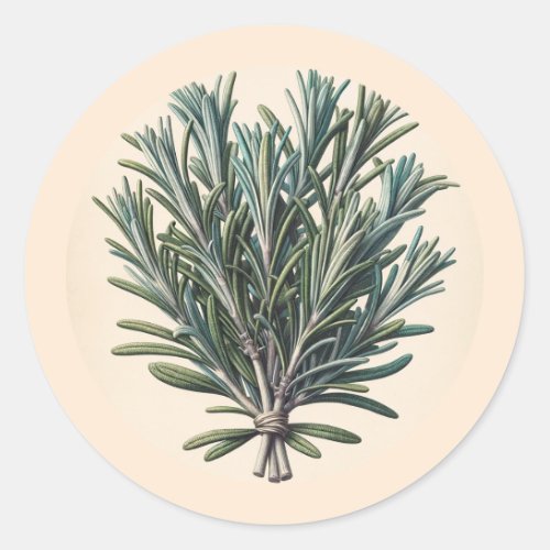 Rosemary Bunch Vintage Botanical Apothecary Plant Classic Round Sticker